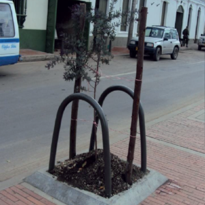 Protector de Arbol ref m91 38