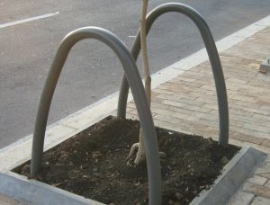 Protector de árbol